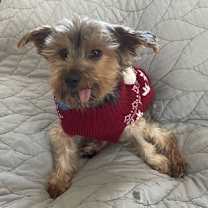 Thumbnail photo of Albany #2