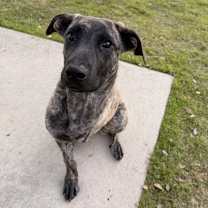 Thumbnail photo of Tabitha #1