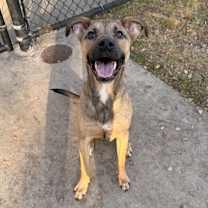 Thumbnail photo of Kamree #1