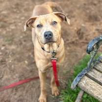 Thumbnail photo of Kloe #1