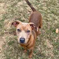 Thumbnail photo of Kloe #3