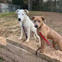 Thumbnail photo of Kloe #4