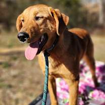 Thumbnail photo of Maggie #3