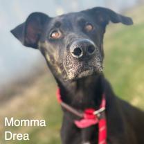 Thumbnail photo of Calvin Countdown #3