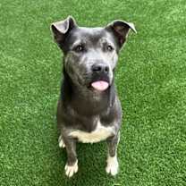 Thumbnail photo of Miso #4