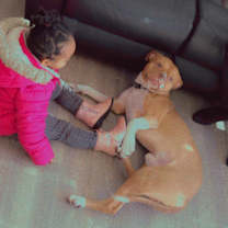 Thumbnail photo of Bruce #2