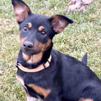 Thumbnail photo of Ten Pin #1