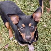 Thumbnail photo of Ten Pin #2