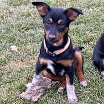 Thumbnail photo of Ten Pin #3