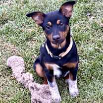 Thumbnail photo of Ten Pin #4