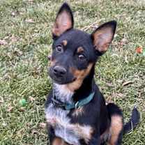 Thumbnail photo of Split #1