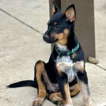 Thumbnail photo of Split #3