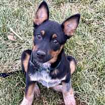 Thumbnail photo of Split #4