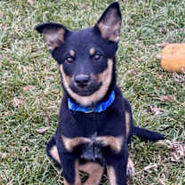 Thumbnail photo of Strike #2