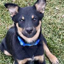 Thumbnail photo of Strike #3