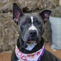 Thumbnail photo of Meredith #1