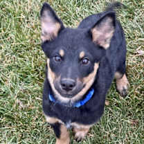 Thumbnail photo of Strike #4