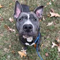 Thumbnail photo of Meredith #2