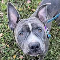 Thumbnail photo of Meredith #4