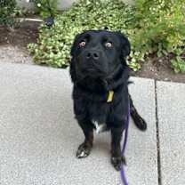 Thumbnail photo of Yona #1