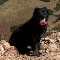 Thumbnail photo of Yona #3