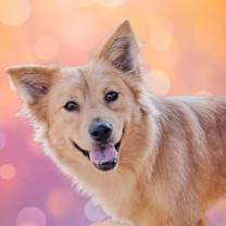 Thumbnail photo of Juice Box #1