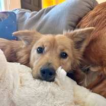 Thumbnail photo of Juice Box #2