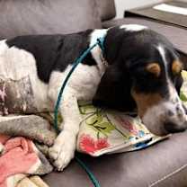 Thumbnail photo of SHIRLEY #2