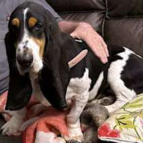 Thumbnail photo of SHIRLEY #3