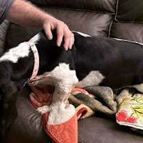 Thumbnail photo of SHIRLEY #4