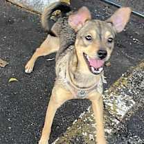 Thumbnail photo of Ellie #3