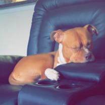 Thumbnail photo of Bruce #3