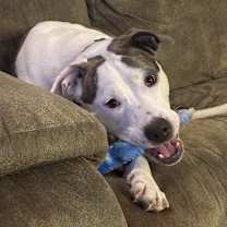 Thumbnail photo of Luna #1