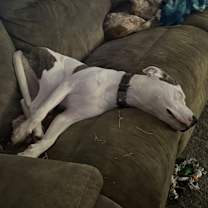 Thumbnail photo of Luna #2