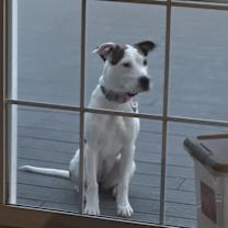 Thumbnail photo of Luna #3