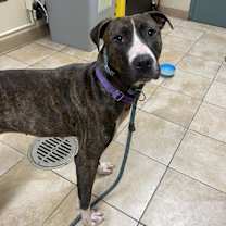 Thumbnail photo of Claire (mcas) #1