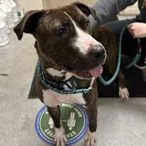 Thumbnail photo of Claire (mcas) #2