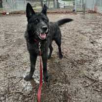 Thumbnail photo of Theodore #3