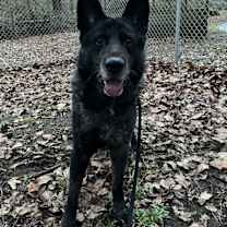 Thumbnail photo of Theodore #4