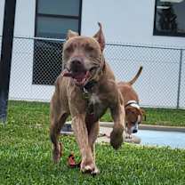 Thumbnail photo of Heidi #2