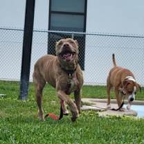 Thumbnail photo of Heidi #3