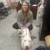 Thumbnail photo of Buttercup #3