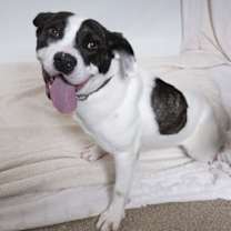 Thumbnail photo of Spirit #2