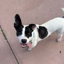 Thumbnail photo of Spirit #3