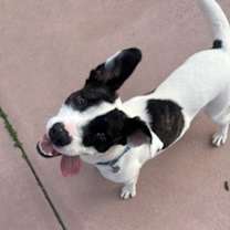 Thumbnail photo of Spirit #4