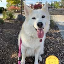 Thumbnail photo of Rory #1