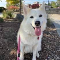 Thumbnail photo of Rory #2