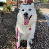 Thumbnail photo of Rory #3