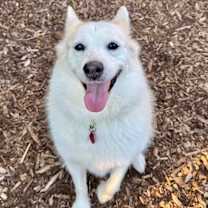 Thumbnail photo of Rory #4