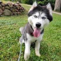 Thumbnail photo of Leya #2